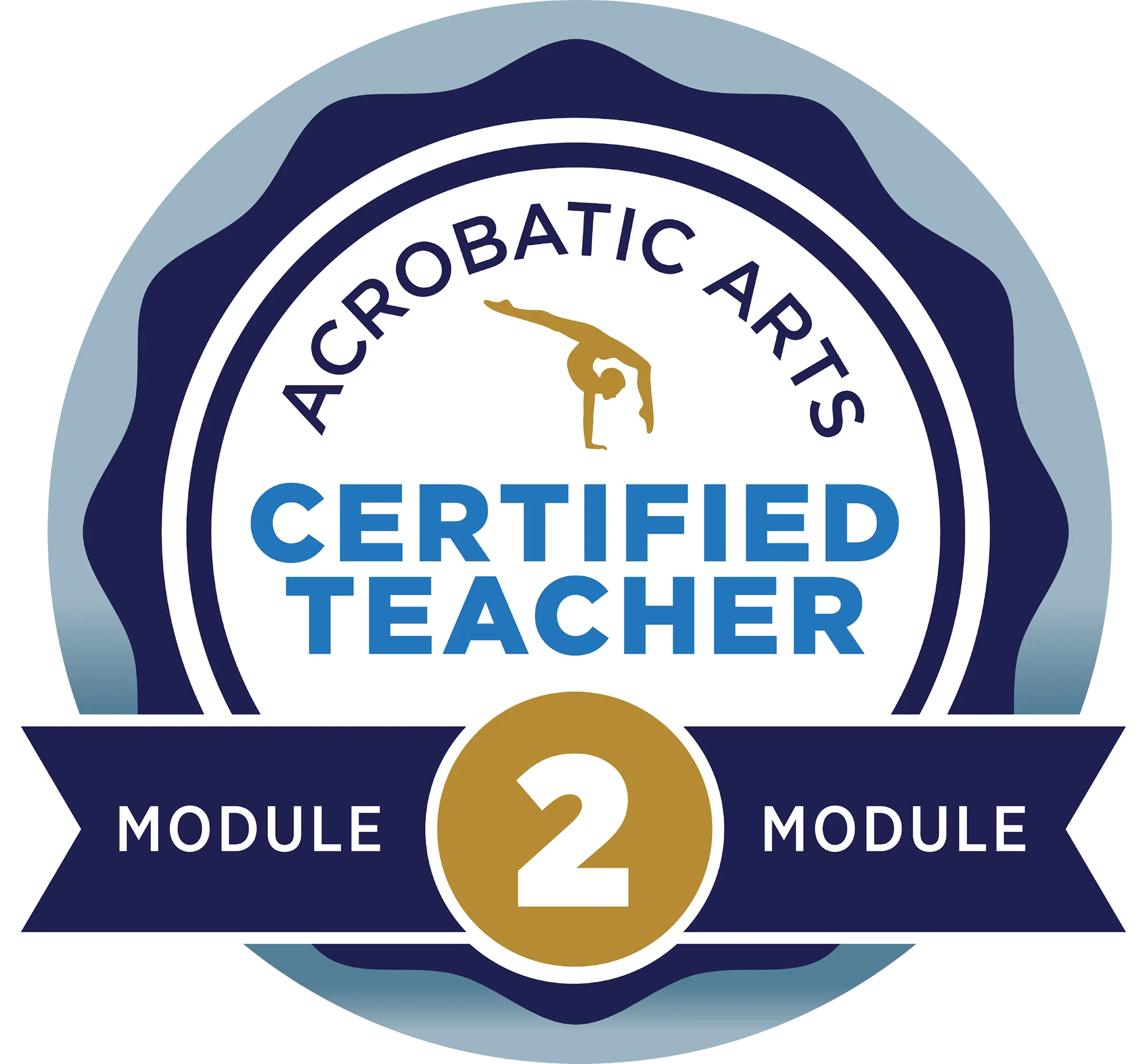 Acrobatic arts 2 certified teacher